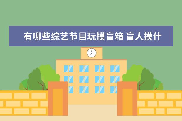 有哪些综艺节目玩摸盲箱 盲人摸什么