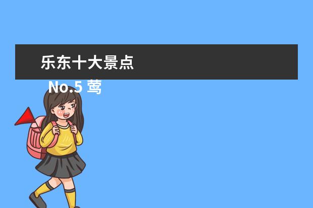 乐东十大景点 
  No.5 莺歌海镇亲水广场