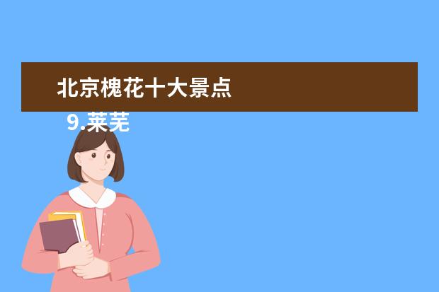 北京槐花十大景点 
  9.莱芜周边旅游景点大全集免费