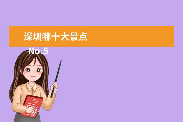 深圳哪十大景点 
  No.5 广东梧桐山国家森林公园
