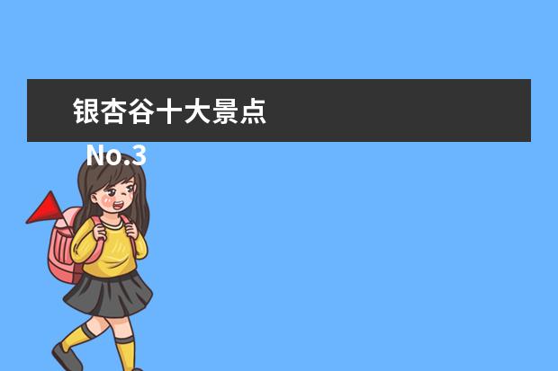 银杏谷十大景点 
  No.3 中国千年银杏谷景区