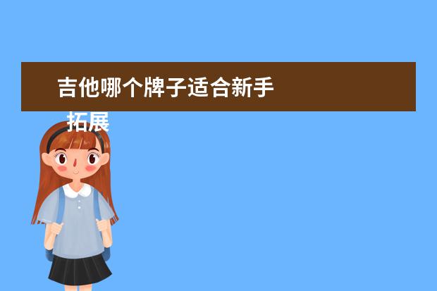 吉他哪个牌子适合新手 
  拓展资料