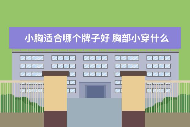 小胸适合哪个牌子好 胸部小穿什么内衣好