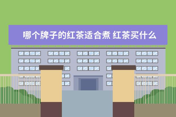 哪个牌子的红茶适合煮 红茶买什么牌子好