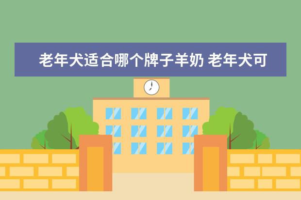 老年犬适合哪个牌子羊奶 老年犬可以喝羊奶粉吗?