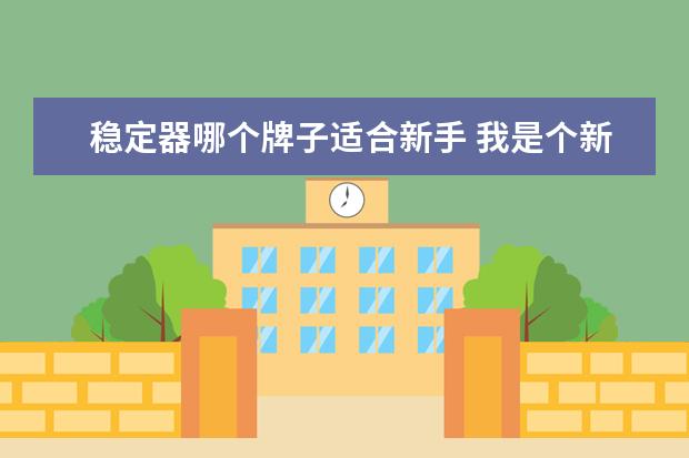 稳定器哪个牌子适合新手 我是个新手,想买微单学摄影,有什么推荐的相机吗? - ...