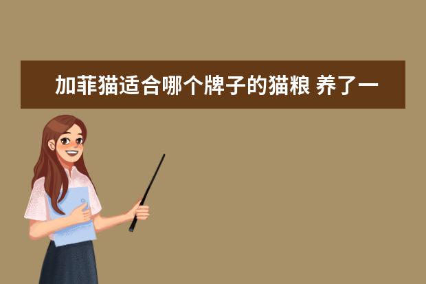 加菲猫适合哪个牌子的猫粮 养了一只加菲猫,想问一下在什么时候开始可以喂猫粮?...