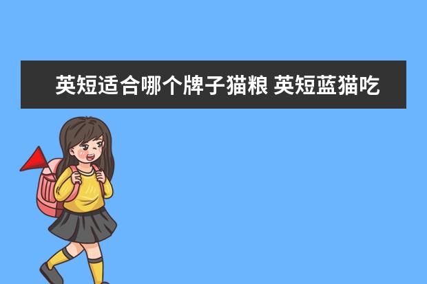 英短适合哪个牌子猫粮 英短蓝猫吃什么牌子的猫粮好