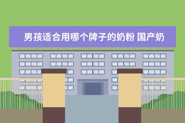 男孩适合用哪个牌子的奶粉 国产奶粉哪个牌子好