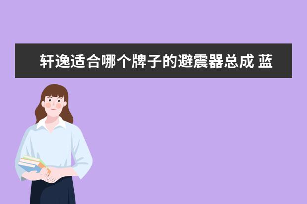 轩逸适合哪个牌子的避震器总成 蓝鸟和轩逸的避震通用吗