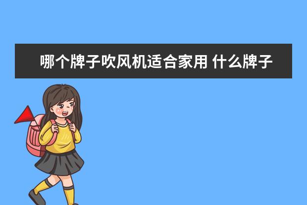 哪个牌子吹风机适合家用 什么牌子吹风机质量比较好