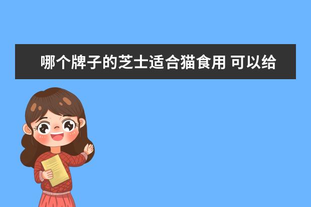 哪个牌子的芝士适合猫食用 可以给猫吃奶酪吗?(就是香港人叫的芝士和洋人叫的ch...