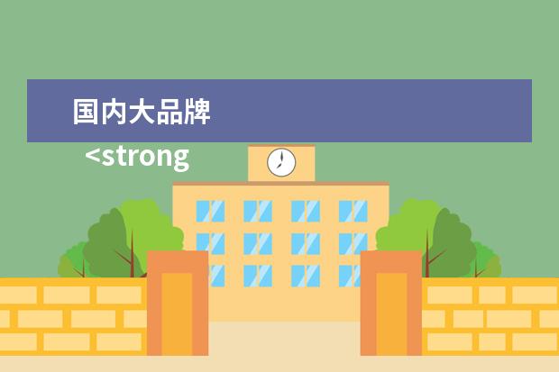 国内大品牌 
  <strong>
   <br/>
  </strong>