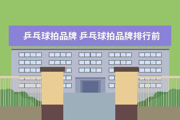 乒乓球拍品牌 乒乓球拍品牌排行前十