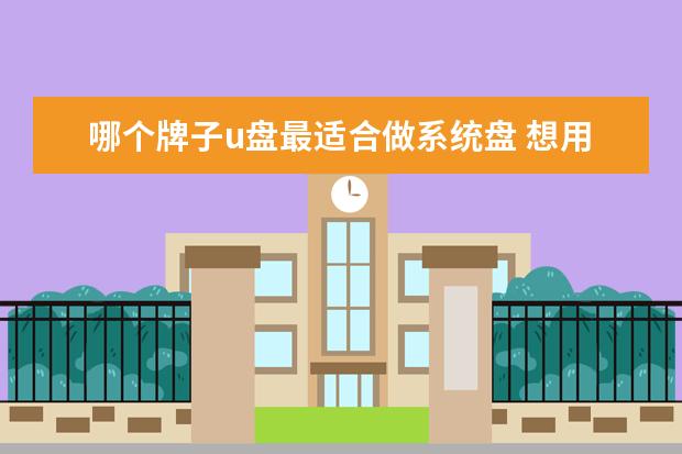 哪个牌子u盘最适合做系统盘 想用U盘做系统安装启动盘!不知道什么牌子好! - 百度...