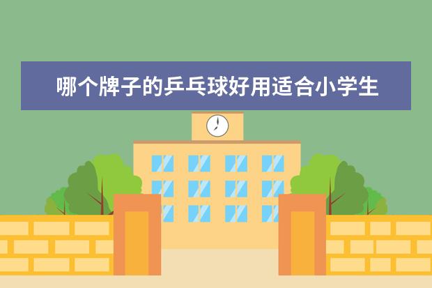 哪个牌子的乒乓球好用适合小学生 乒乓球练习用球什么牌子好