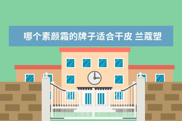 哪个素颜霜的牌子适合干皮 兰蔻塑颜面霜适合什么皮肤?兰蔻塑颜面霜值得买吗? -...