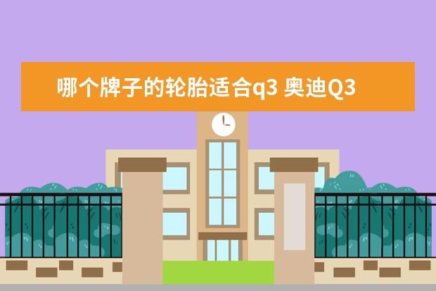 哪个牌子的轮胎适合q3 奥迪Q3什么轮胎比较好