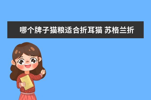 哪个牌子猫粮适合折耳猫 苏格兰折耳猫吃什么猫粮比较好?