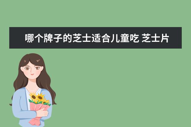 哪个牌子的芝士适合儿童吃 芝士片哪个牌子好