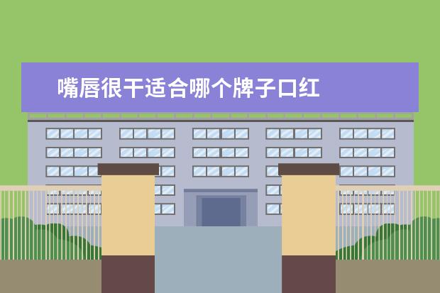嘴唇很干适合哪个牌子口红 
  嘴皮干适合唇釉还是口红2