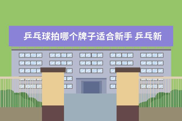 乒乓球拍哪个牌子适合新手 乒乓新手选择什么样的,乒乓球拍