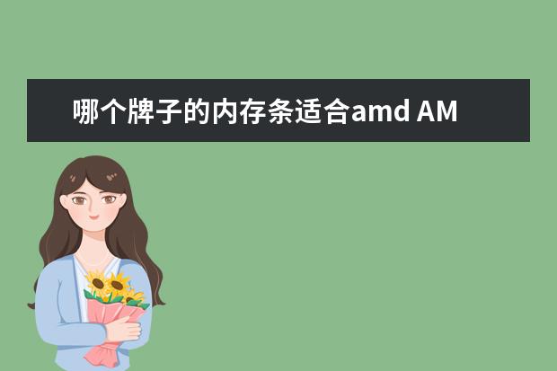 哪个牌子的内存条适合amd AMD专用条是什么内存条