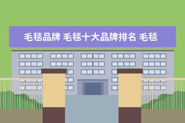 毛毯品牌 毛毯十大品牌排名 毛毯哪个牌子好