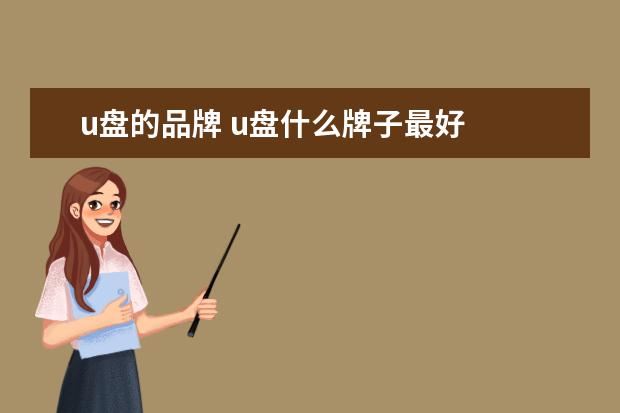 u盘的品牌 u盘什么牌子最好