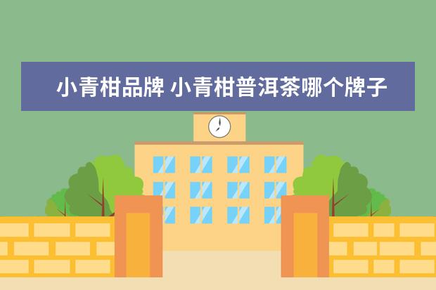 小青柑品牌 小青柑普洱茶哪个牌子最正宗
