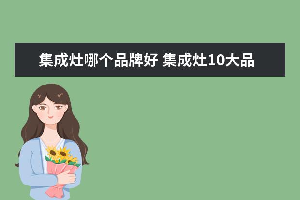 集成灶哪个品牌好 集成灶10大品牌哪个好