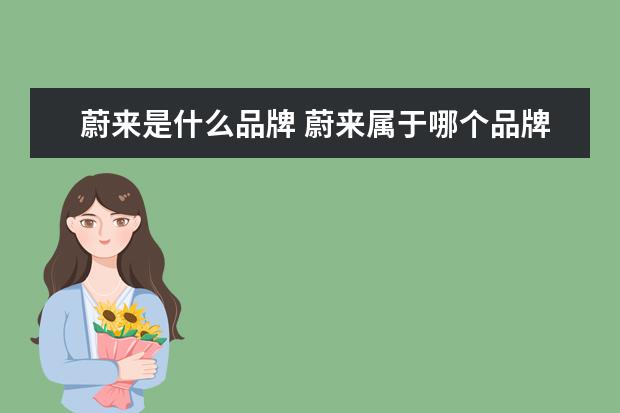 蔚来是什么品牌 蔚来属于哪个品牌