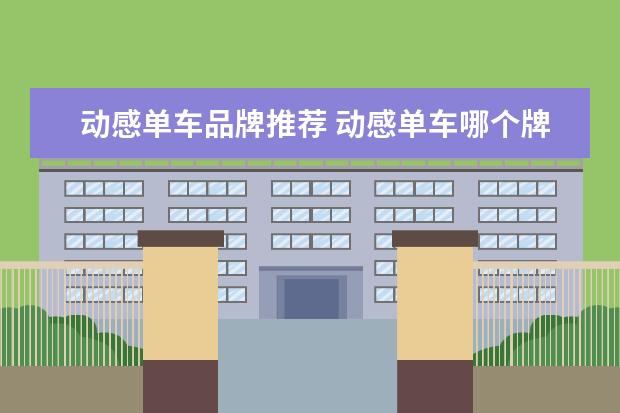 动感单车品牌推荐 动感单车哪个牌子的好性价比高