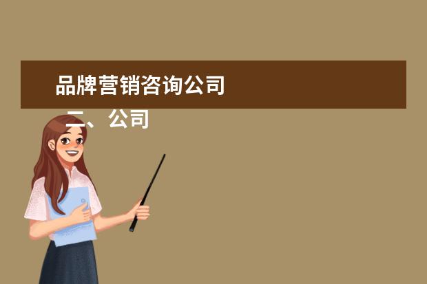 品牌营销咨询公司 
  二、公司形象即专业水平
