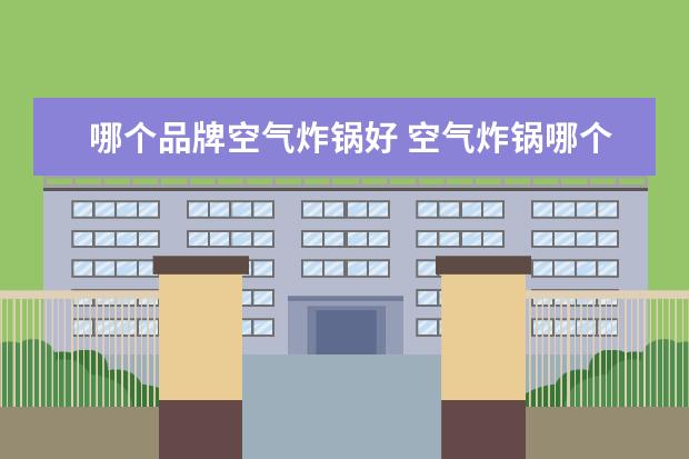 哪个品牌空气炸锅好 空气炸锅哪个品牌比较好
