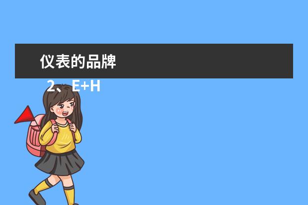 仪表的品牌 
  2、E+H