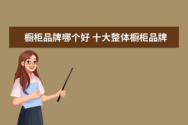 橱柜品牌哪个好 十大整体橱柜品牌