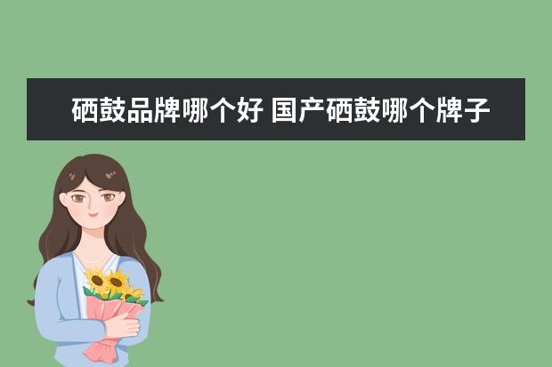 硒鼓品牌哪个好 国产硒鼓哪个牌子好 硒鼓十大品牌