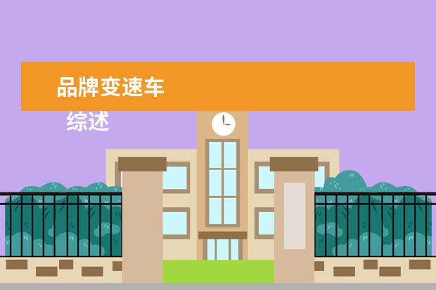品牌变速车 
  综述
