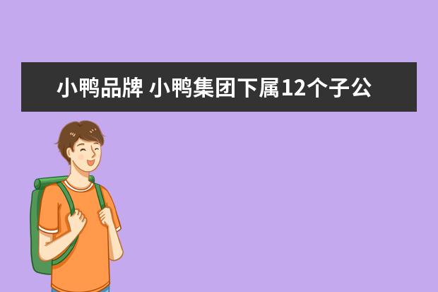 小鸭品牌 小鸭集团下属12个子公司是哪几个
