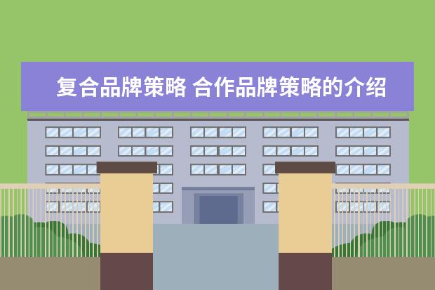 复合品牌策略 合作品牌策略的介绍