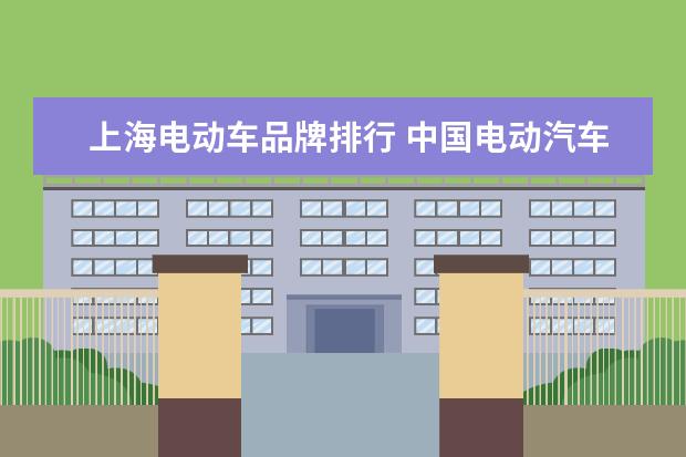上海电动车品牌排行 中国电动汽车十大名牌排行榜是什么?