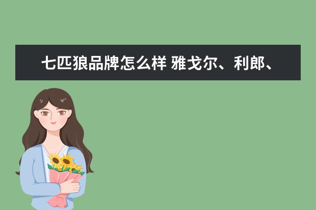 七匹狼品牌怎么样 雅戈尔、利郎、七匹狼、柒牌等中国大陆这几个品牌质...