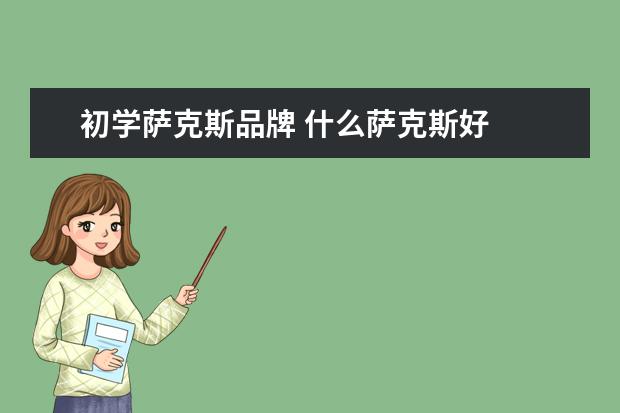 初学萨克斯品牌 什么萨克斯好