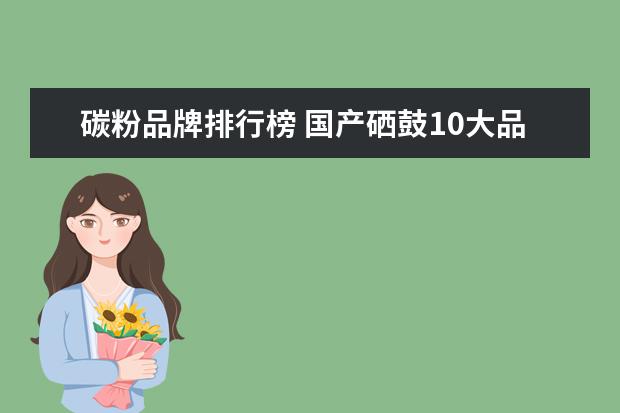 碳粉品牌排行榜 国产硒鼓10大品牌排行