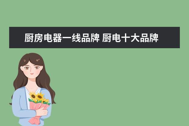 厨房电器一线品牌 厨电十大品牌