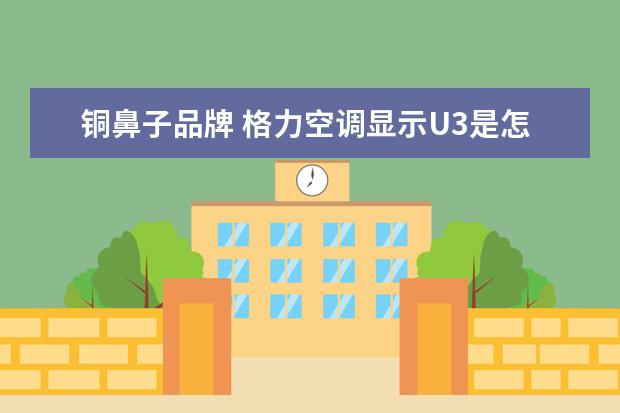 铜鼻子品牌 格力空调显示U3是怎么回事?怎么解决?