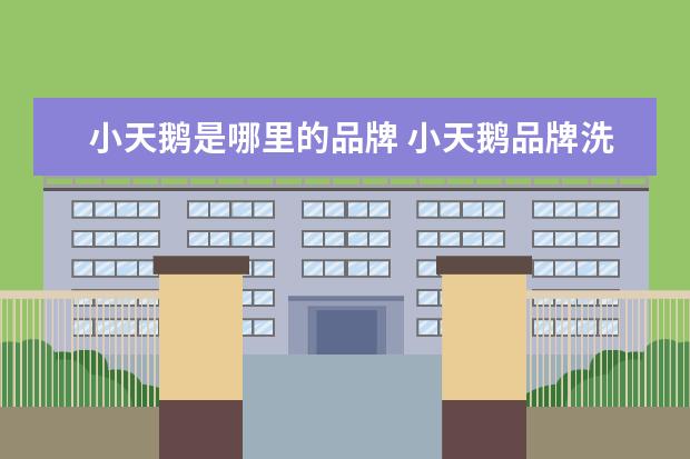 小天鹅是哪里的品牌 小天鹅品牌洗衣机
