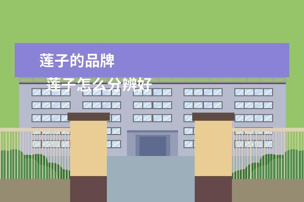 莲子的品牌 
  莲子怎么分辨好坏3