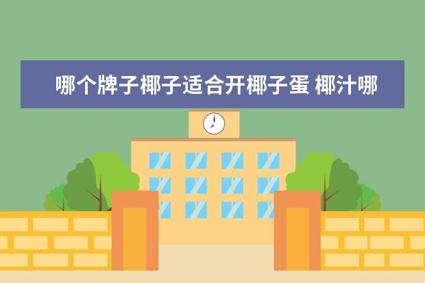 哪个牌子椰子适合开椰子蛋 椰汁哪个牌子最正宗